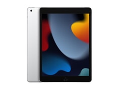 Apple iPad 9th Gen Wi-Fi+Cellular 256GB (A2604) - Silber