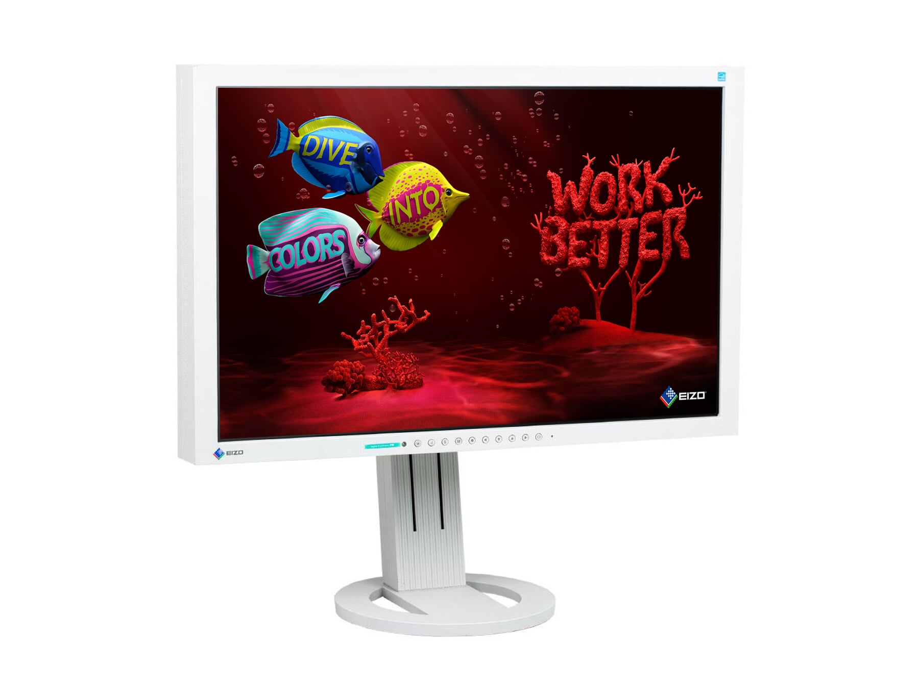 Gebrauchtes EIZO Monitor