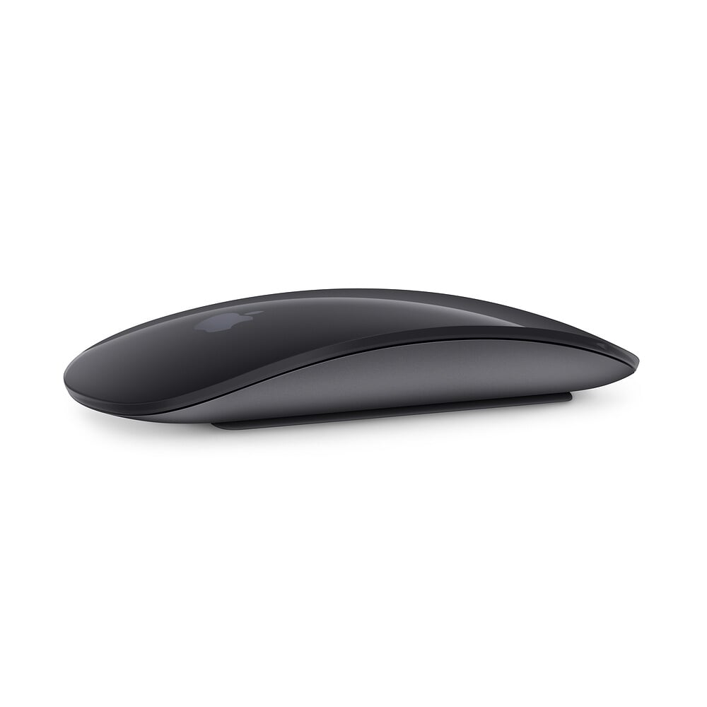 Apple Magic Mouse 2 Space-Grau A1657 - Bluetooth Maus 