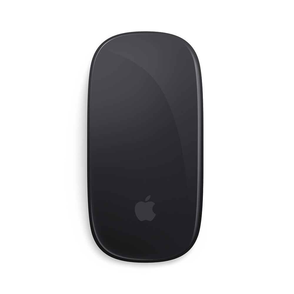 Apple Magic Mouse 2 Space-Grau A1657 - Bluetooth Maus 